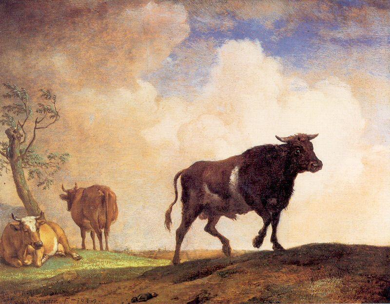 POTTER, Paulus The Bull Norge oil painting art